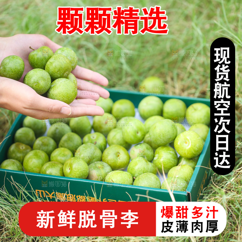 手里捧着四川脱骨李