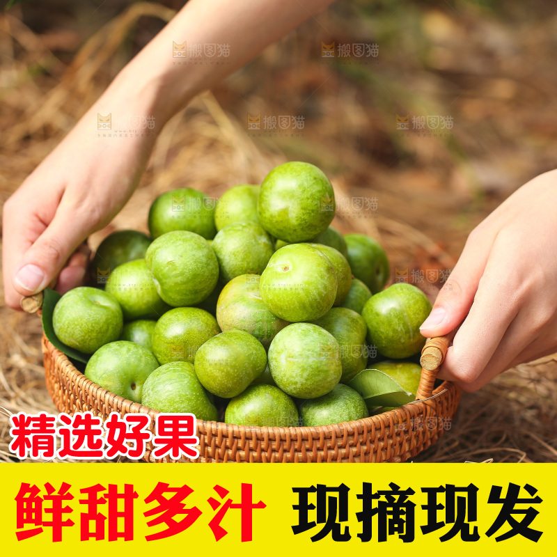 手提着一篮青脆李