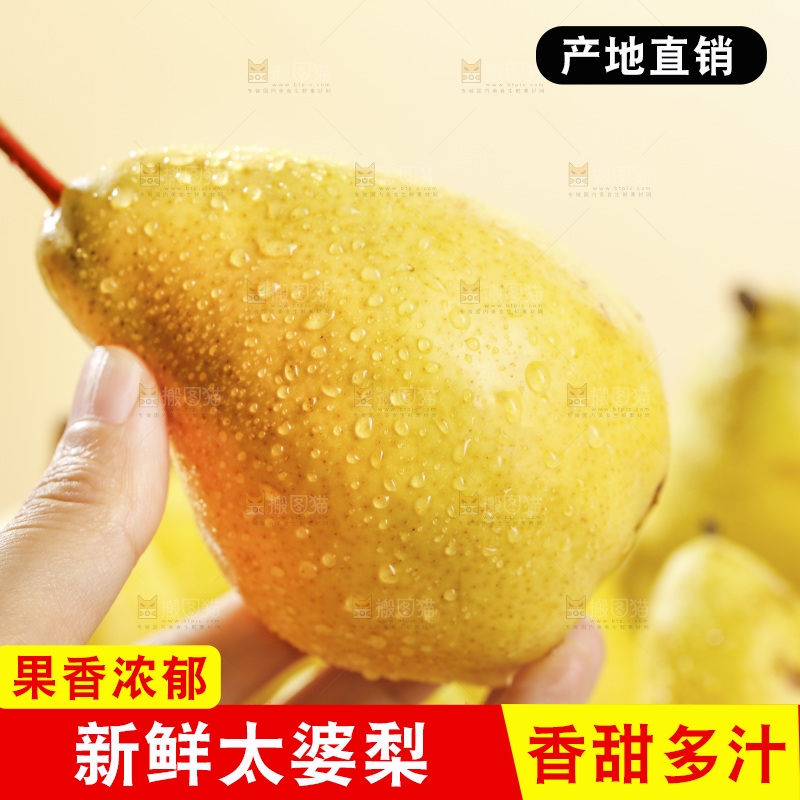手里拿着新鲜太婆梨