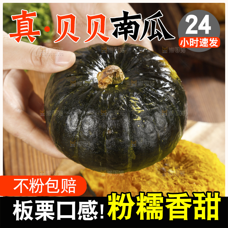 手里拿着的板栗南瓜