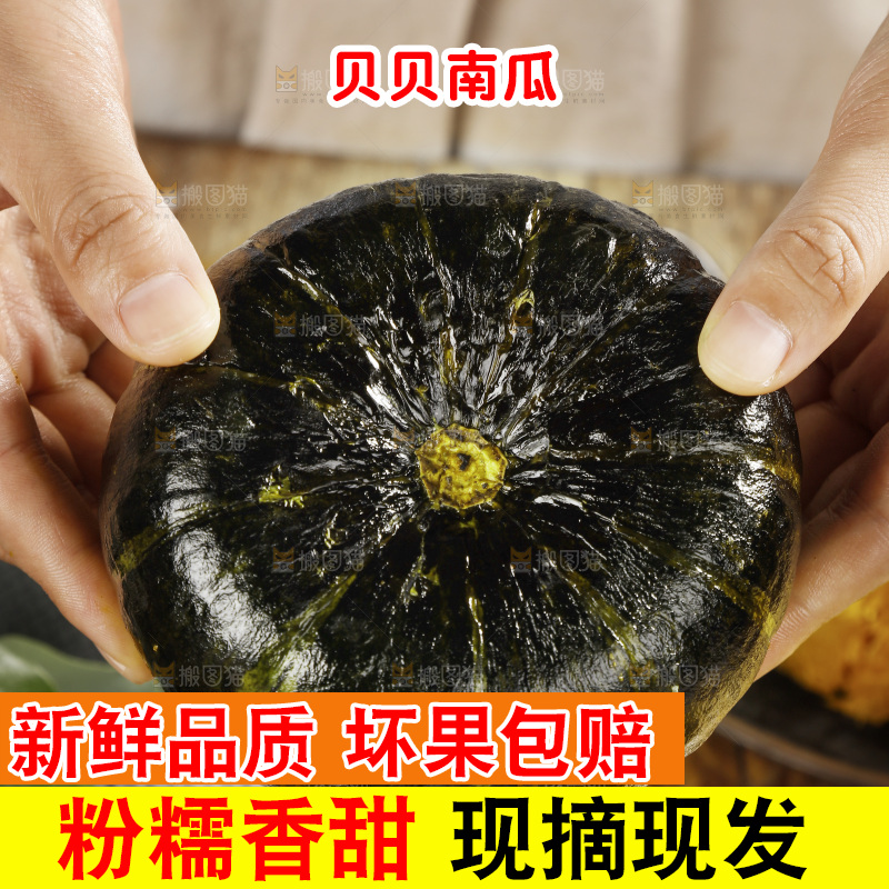 手里拿着的板栗南瓜