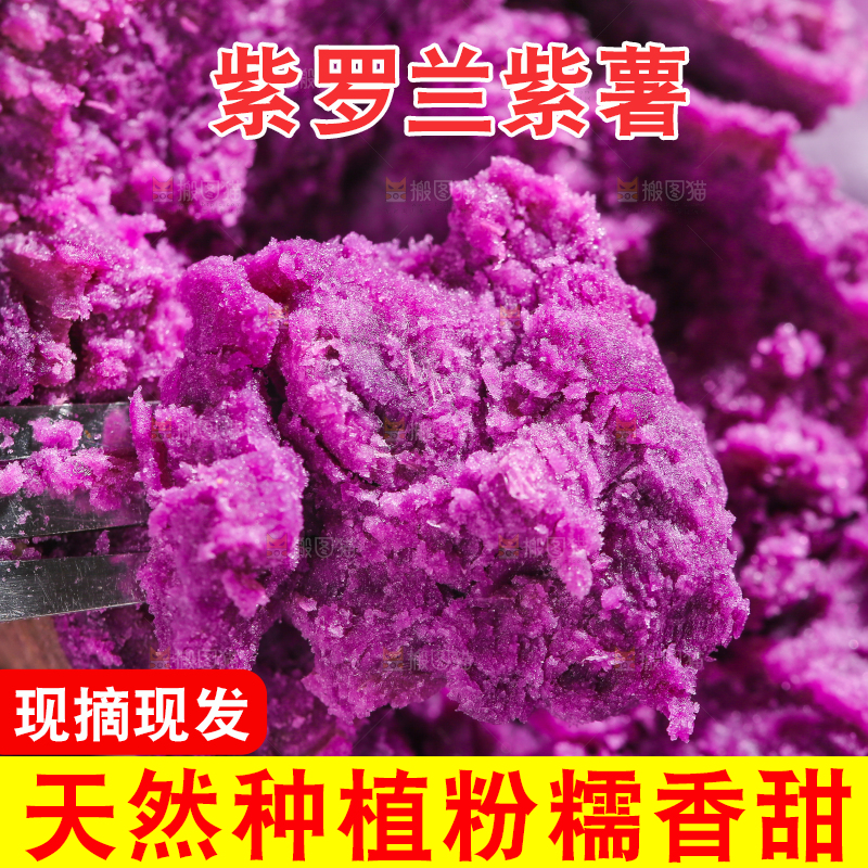 叉子插着紫罗兰紫薯