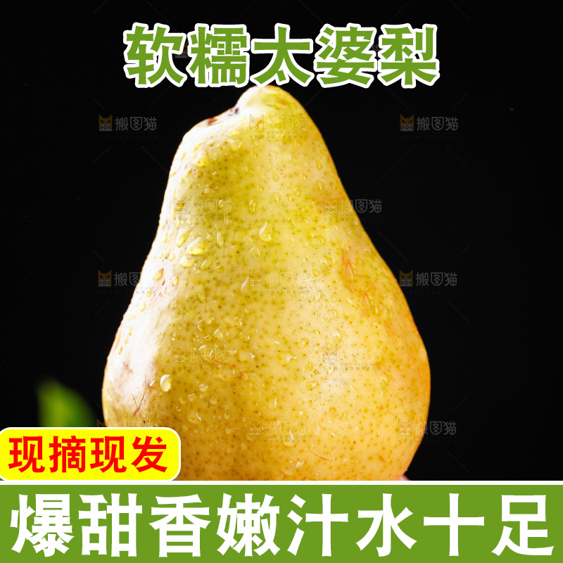 手里拿着烟台太婆梨