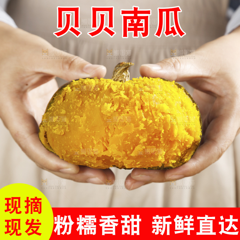 手里拿着的板栗南瓜