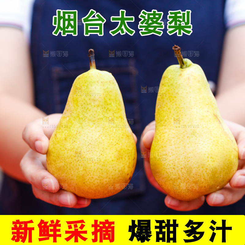 手里拿着新鲜太婆梨