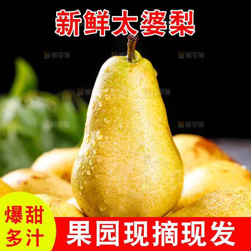 堆放着的新鲜太婆梨