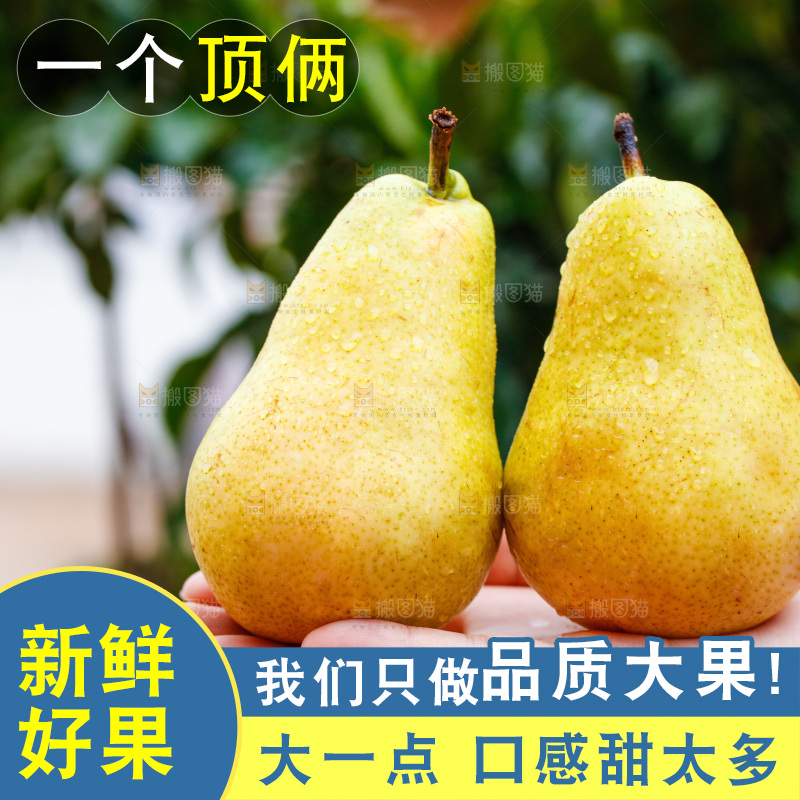 手里放着新鲜太婆梨