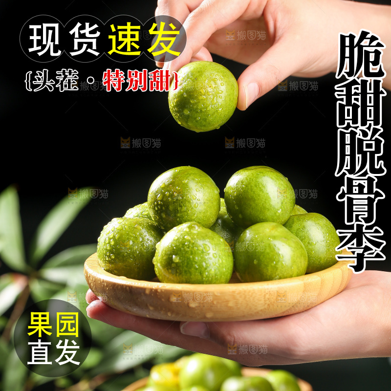手拿着青脆李