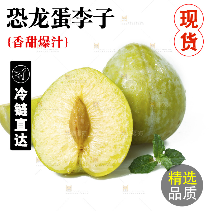 白底上放着新鲜恐龙蛋
