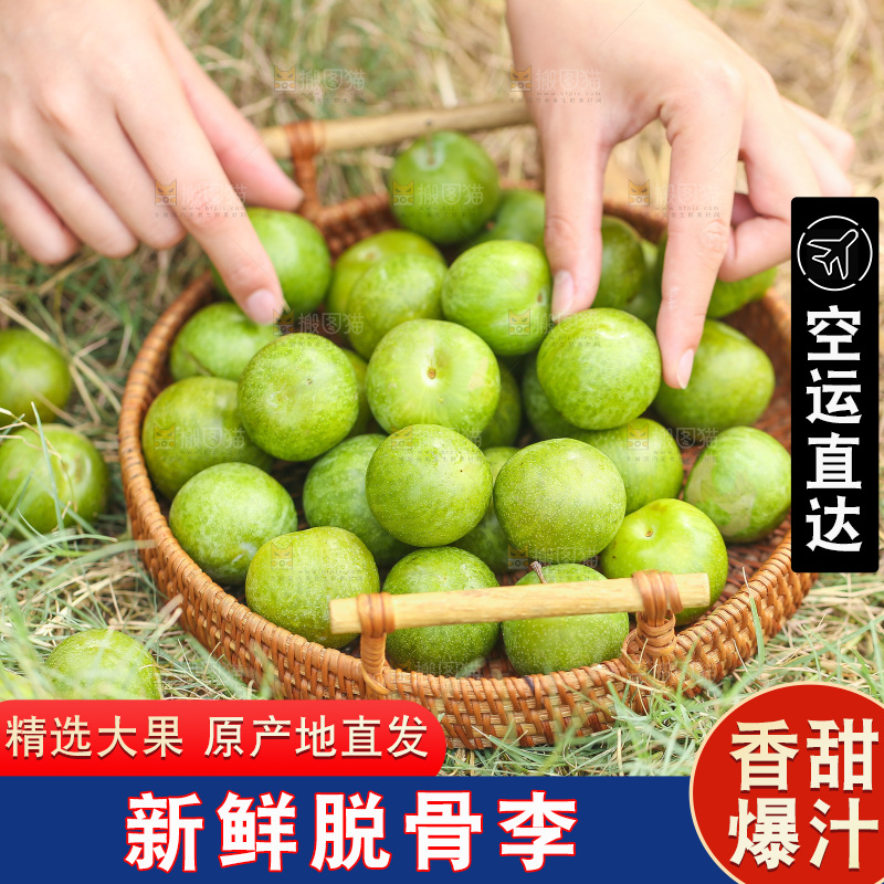 手拿篮子里的青脆李