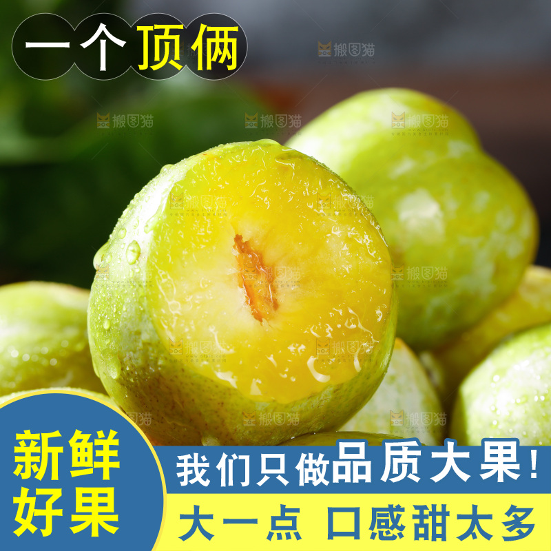 堆放着的新鲜恐龙蛋
