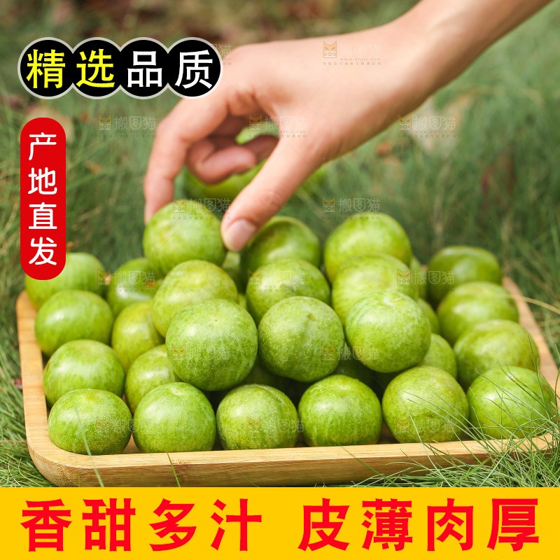 手拿着新鲜脱骨李