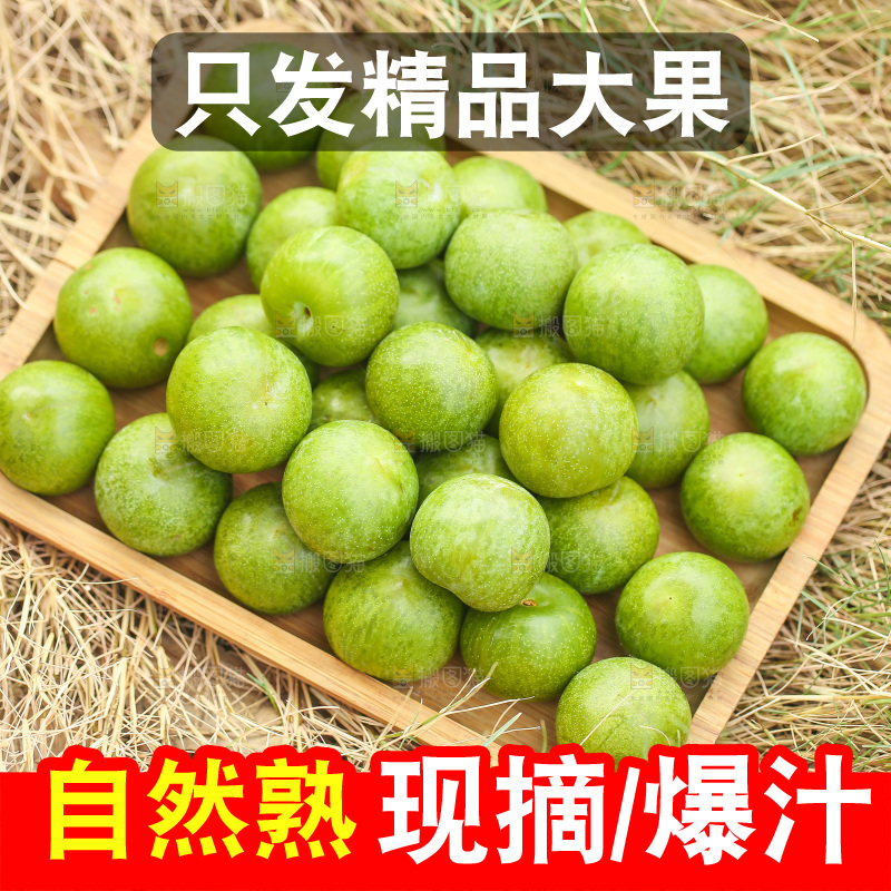 草地上放着一盘脱骨李