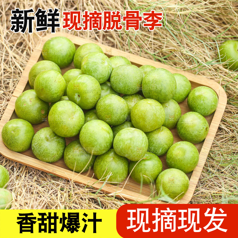 草地上放着一盘脱骨李