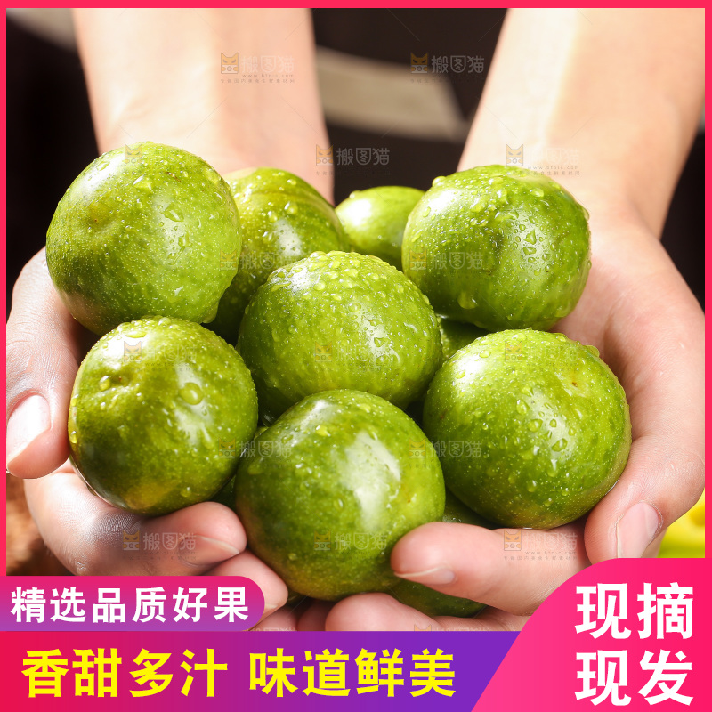 手捧着新鲜脱骨李