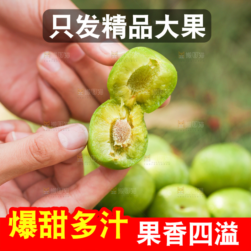 手里拿着掰开的青脆李
