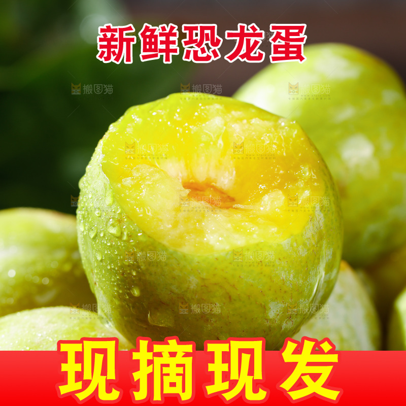堆放着的新鲜恐龙蛋