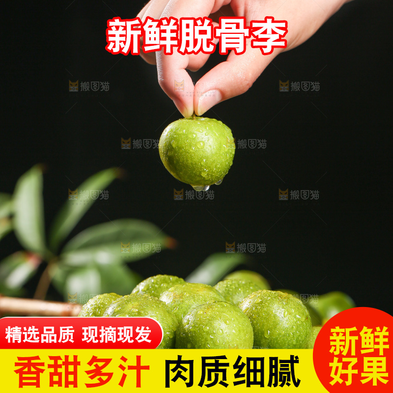 手拿着新鲜脱骨李