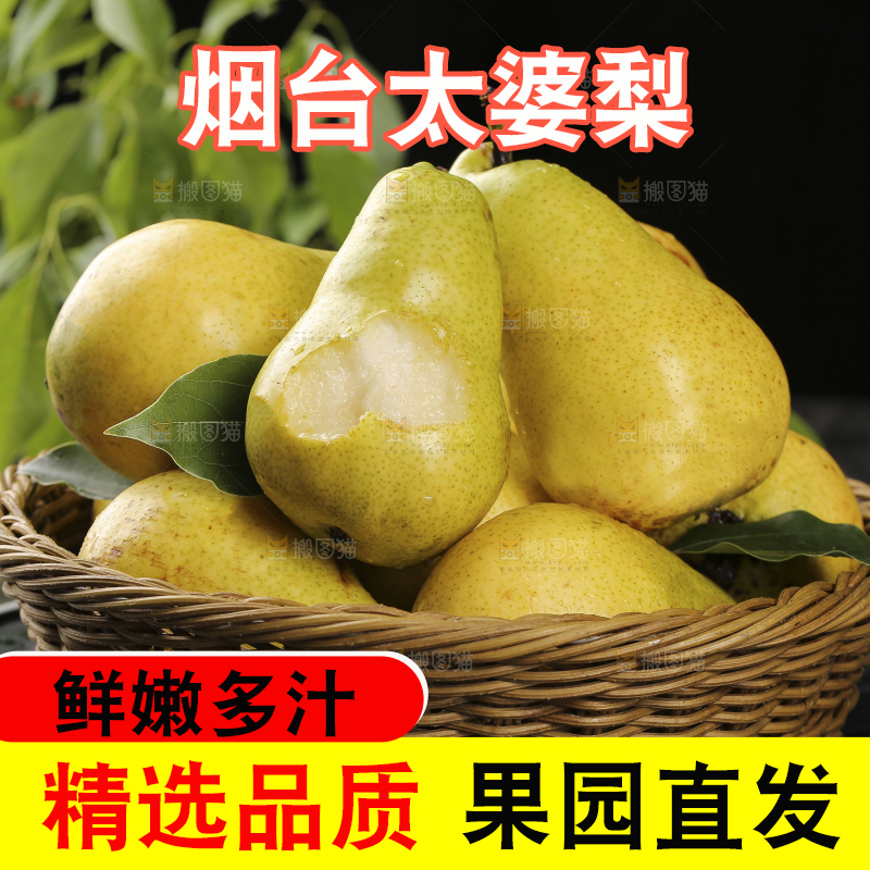 篮子里的山东太婆梨