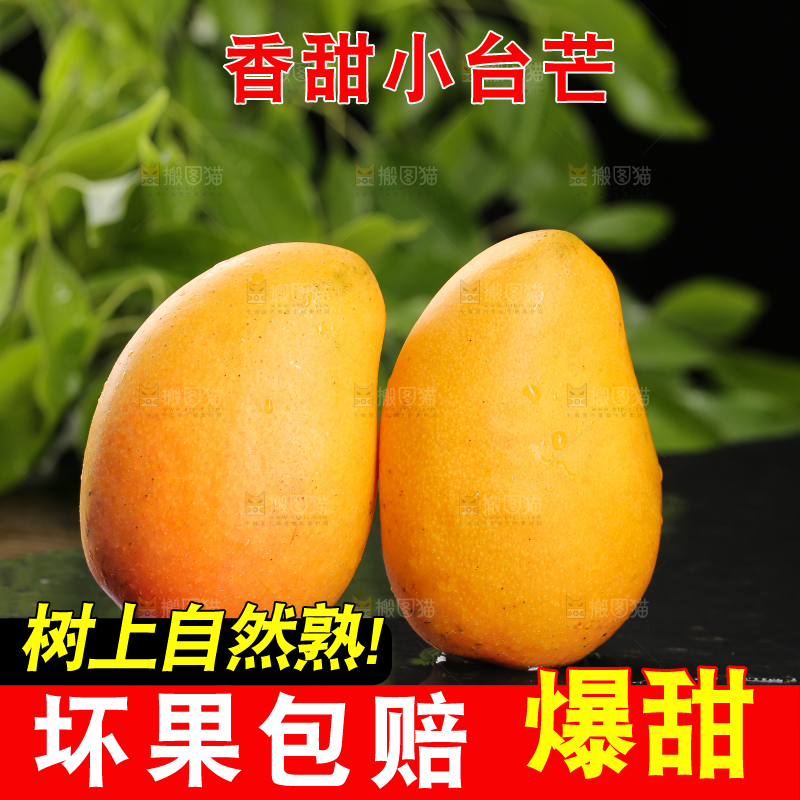 黑底上放着小台芒