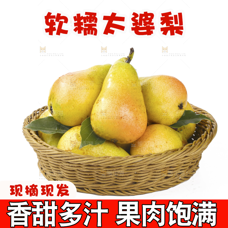 白底上的一篮太婆梨