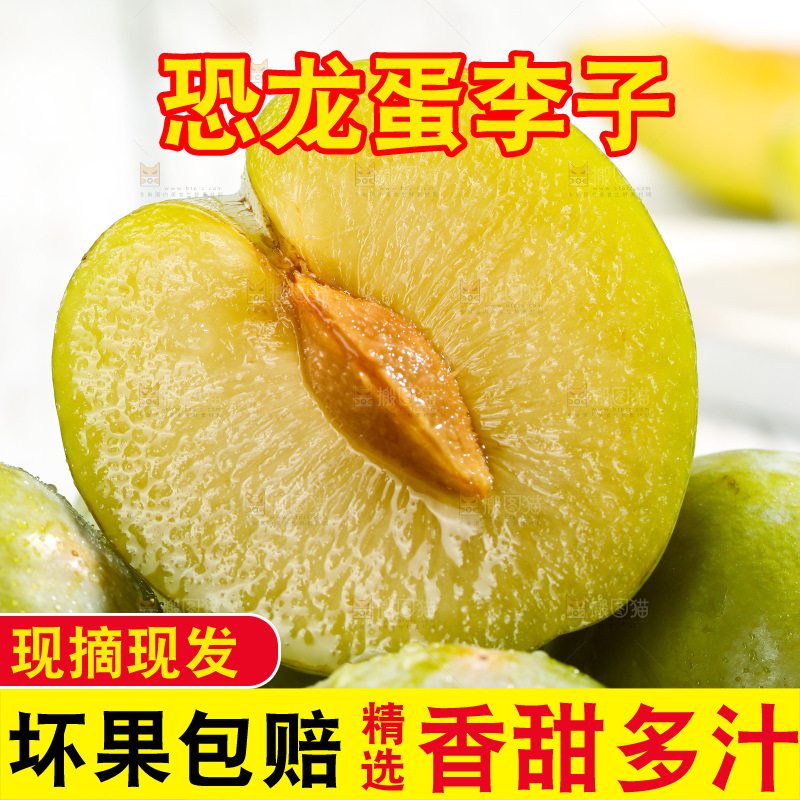 堆放着的新鲜恐龙蛋