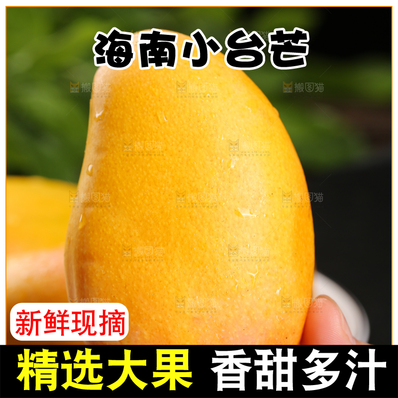 手里拿着新鲜小台芒