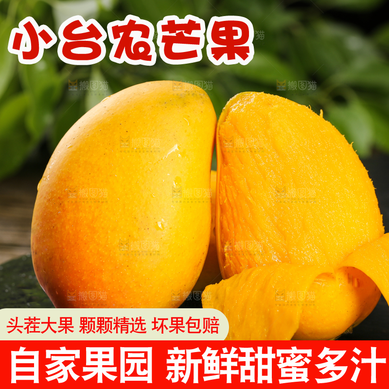 黑底上的新鲜小台芒
