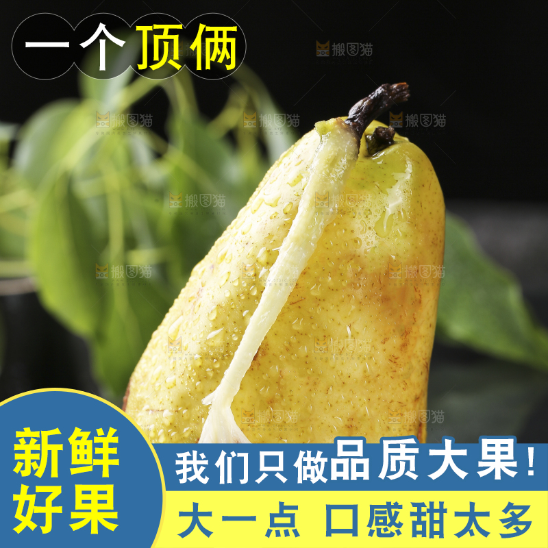 黑底上放着烟台太婆梨