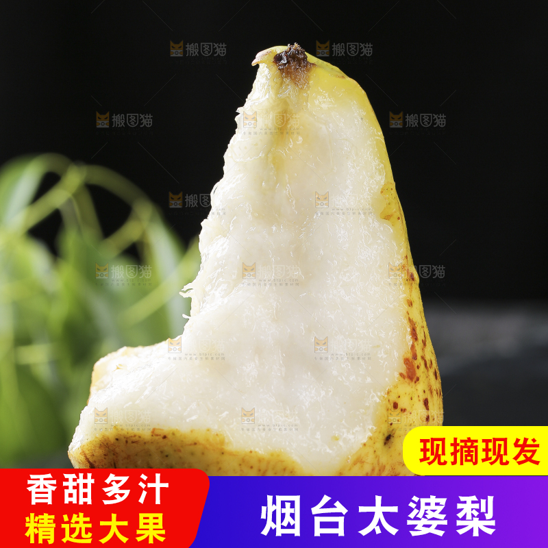 手上拿着太婆梨