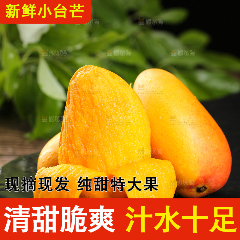 黑底上的新鲜小台芒