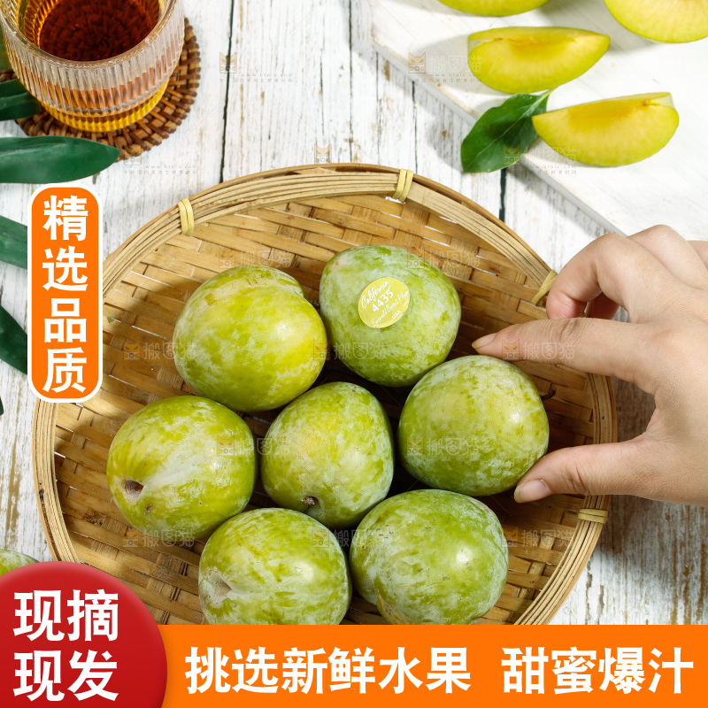 手拿着篮子里的恐龙蛋李