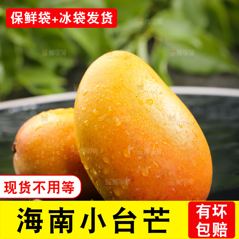 黑底上的小台芒