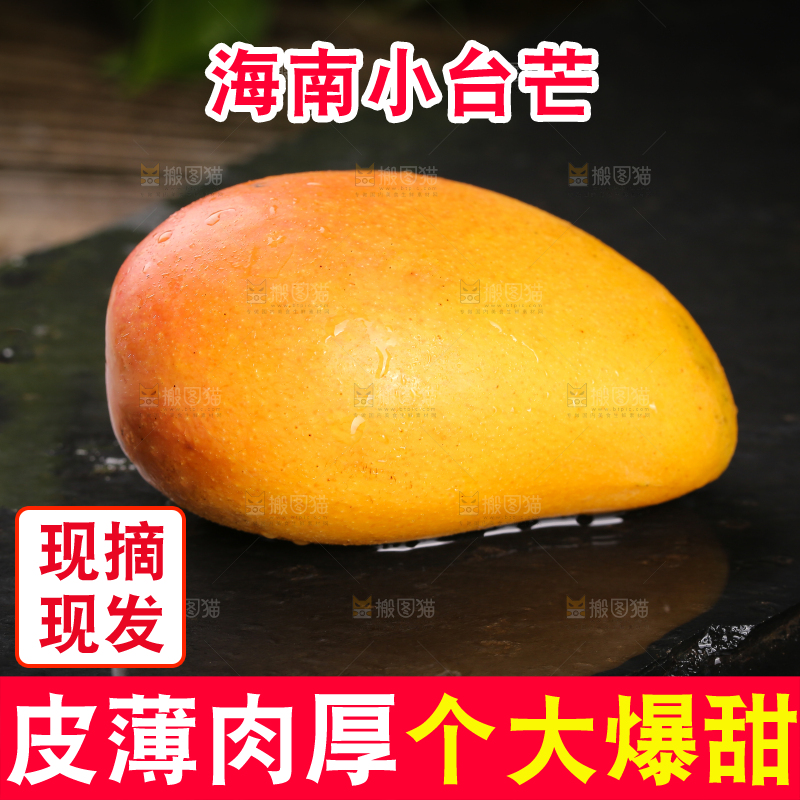 黑底上放着小台芒
