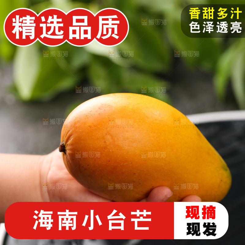 手里拿着新鲜台芒