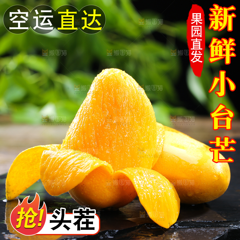 黑底上的新鲜小台芒