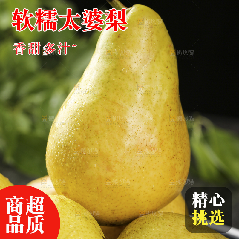 堆放着的太婆梨