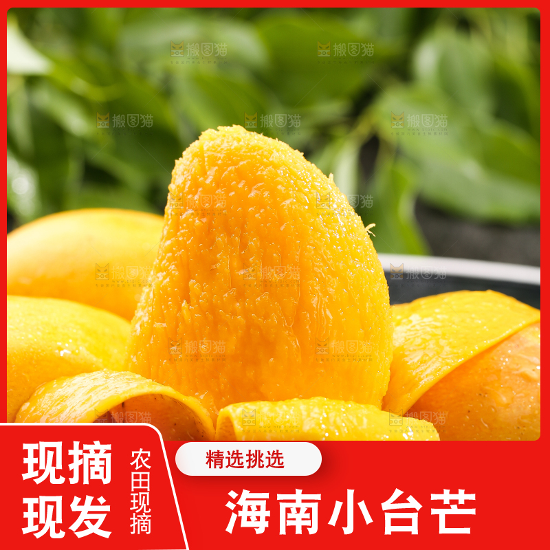 黑底上摆放着的台芒