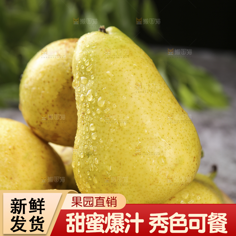 堆放着的太婆梨