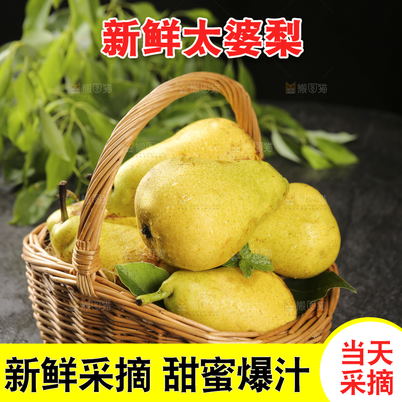 黑底上的一篮太婆梨