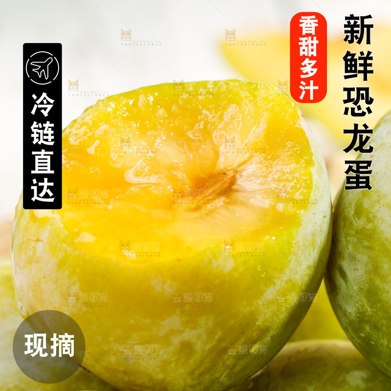 堆放着的新鲜恐龙蛋