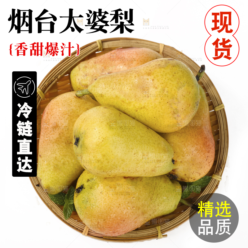 白底上的一篮烟台太婆梨