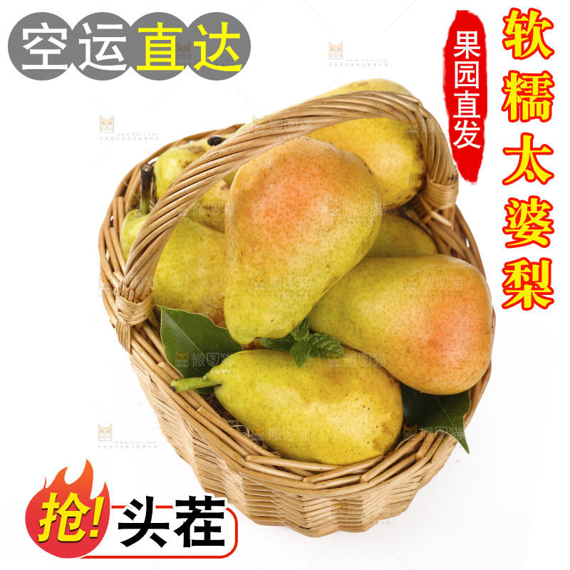 白底上的一篮烟台太婆梨