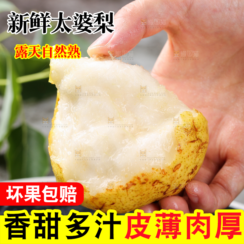手上拿着新鲜太婆梨