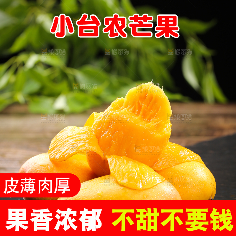 黑底上的新鲜小台芒