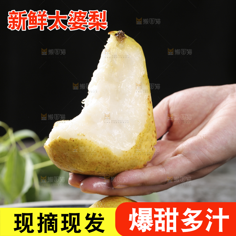 手上放着太婆梨