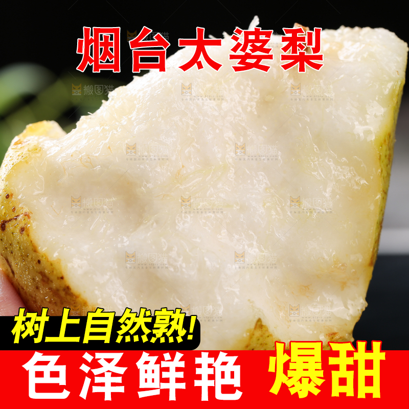 手上拿着山东太婆梨