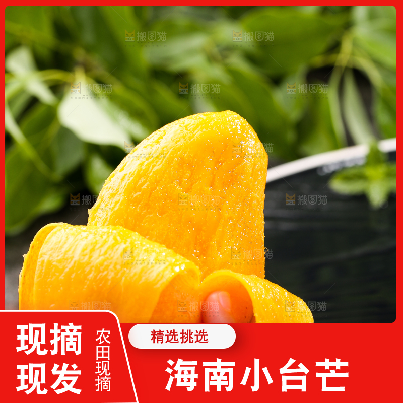 手里拿着剥皮的小台芒