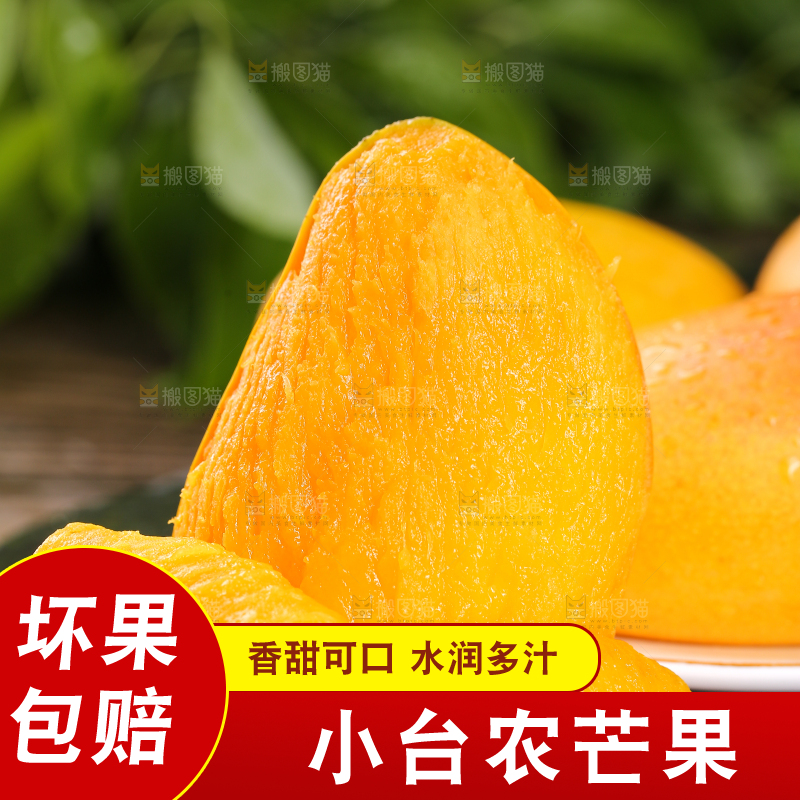 黑底上的小台芒