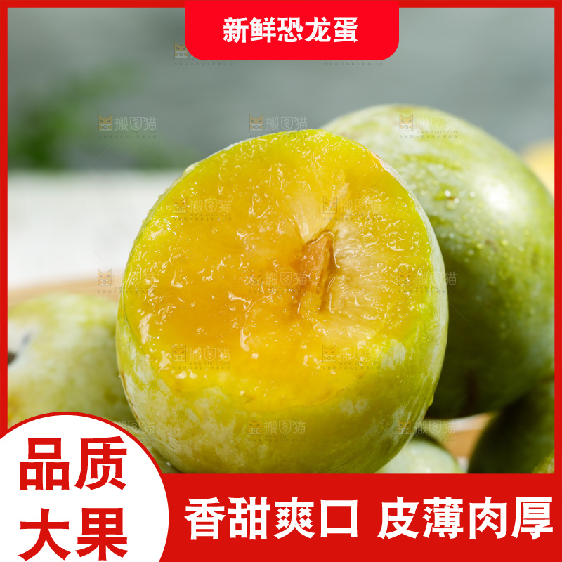 堆放着的新鲜恐龙蛋